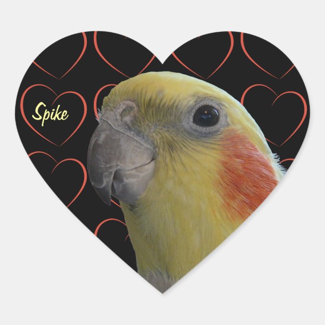 Sticker Cœur Cockatiel et Hearts (Devant)