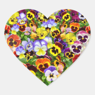 Sticker Cœur Coeur d'affichage coloré Pansy