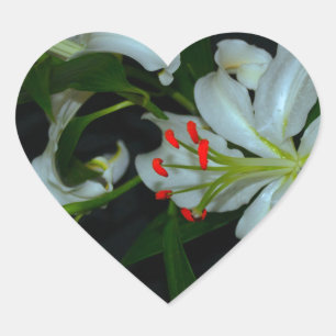 Sticker Cœur Collection Irlandaise de laiton et de fleurs