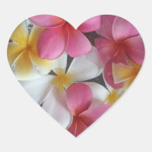 Colonnes de fleurs Plumeria rose, en forme de coeu