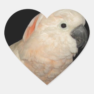 Sticker Cœur Conception de perroquets de Cockatoo Moluccan