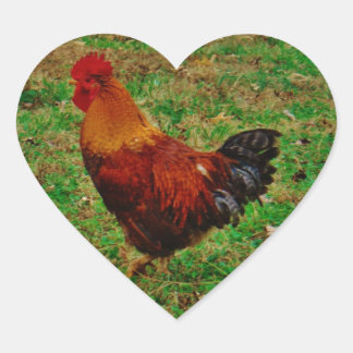Sticker Cœur Coq face à gauche