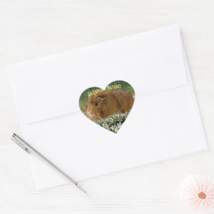 Sticker Cœur Cute Ginger Guinée Exploration Nature Photo Custom