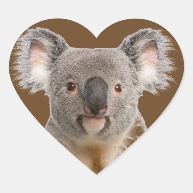 Sticker Cœur Cute Little Koala Ours Animal australien (Devant)
