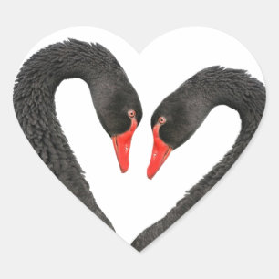 Sticker Cœur Cygnes noirs