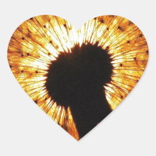Sticker Cœur Dandelion au coucher du soleil