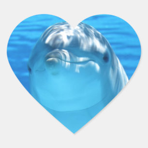 Sticker Cœur Dauphin