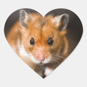 Sticker Cœur De mauvais poil le hamster
