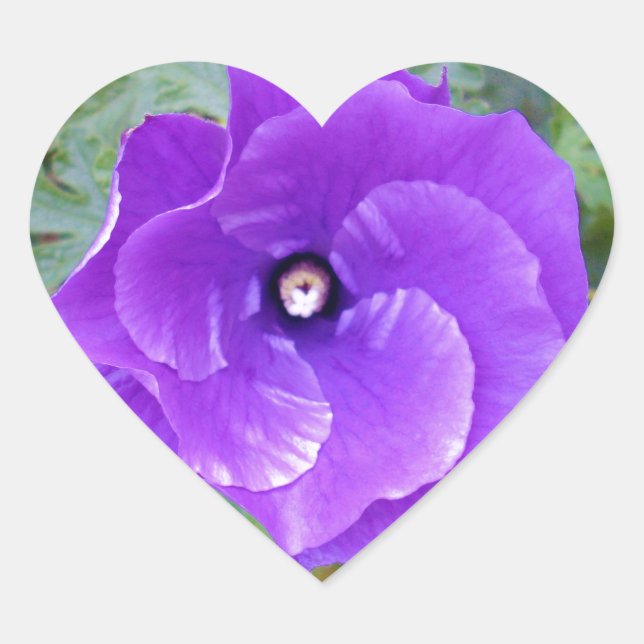 Sticker Cœur Deep Purple Hibiscus Flower (Devant)