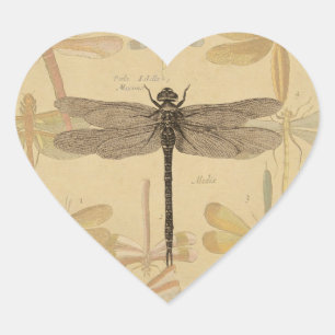 Sticker Cœur Dragonfly Vintage Antique Classic Nature