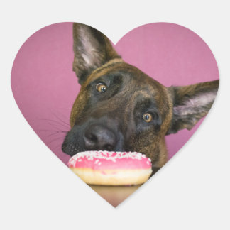 Sticker Cœur Dutch shepherd versus donut