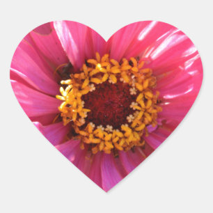 Sticker Cœur Élégant classique floral rose fleur marguerite