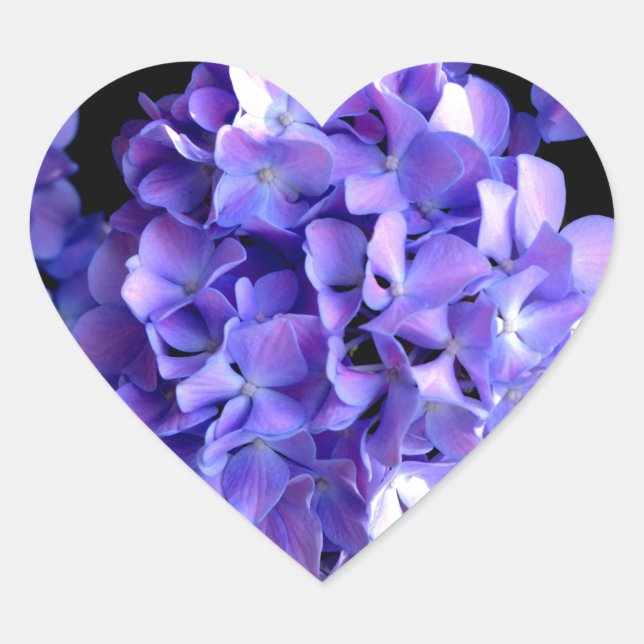 Sticker Cœur Elégante florales violettes profondes perwinkle hy (Devant)