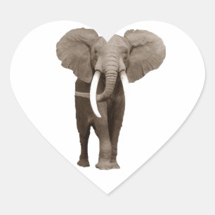 Sticker Cœur Eléphant