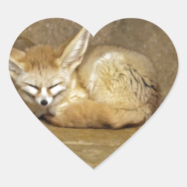Sticker Cœur fennec fox (Devant)