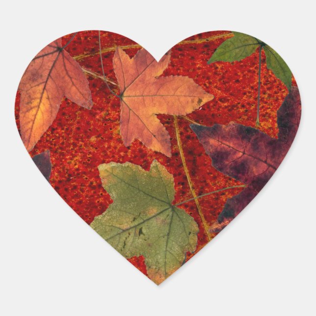 Sticker Cœur Feuilles d'automne Saison d'automne Feuilles d'arb (Devant)