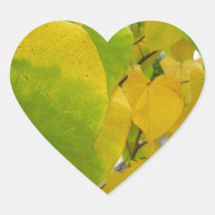 Sticker Cœur Feuilles de redbud jaunes et vertes