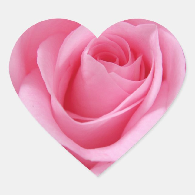 Sticker Cœur Fleur rose rose gros plan (Devant)