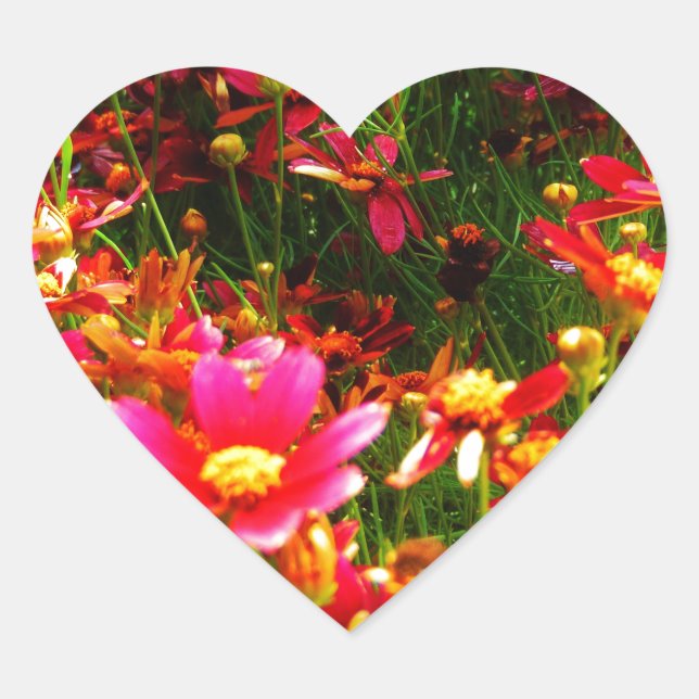 Sticker Cœur Fleurs sauvages rose et jaune pâle (Devant)