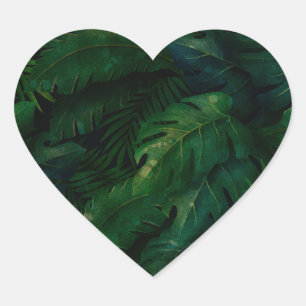 Sticker Cœur Forêt tropicale tropicale feuillage vert