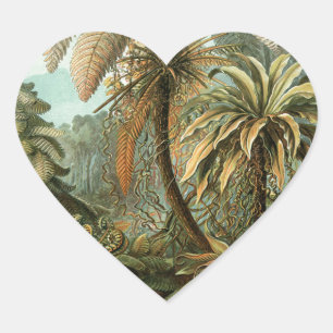 Sticker Cœur Fougère Palmier Antique Botanique Fougères Art