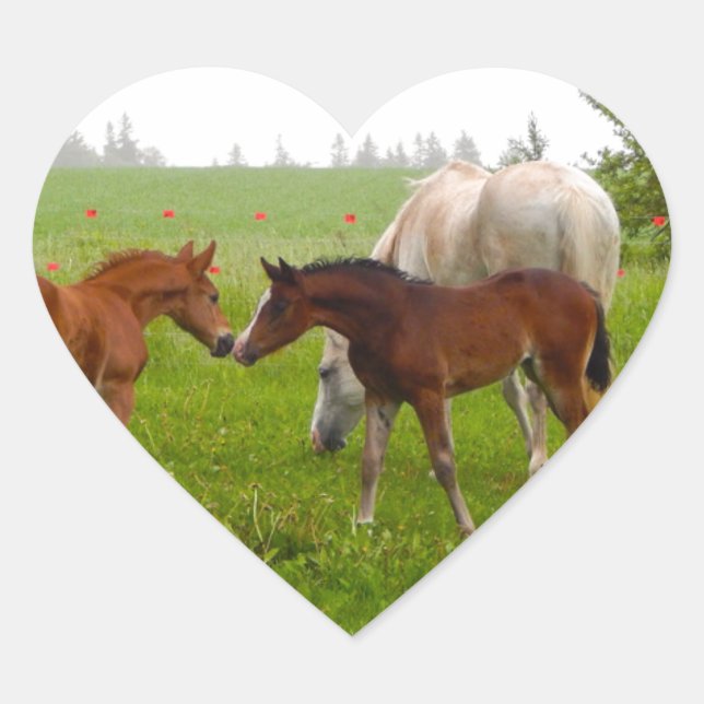 STICKER CŒUR FOUS DE CHEVAL CUTE (Devant)