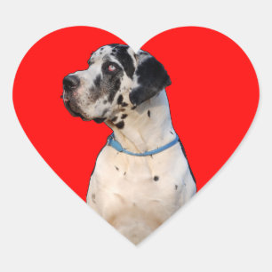 Sticker Cœur Gefleckte Dogge