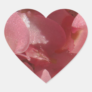 Sticker Cœur Géranium rose : presque solide Rose clair