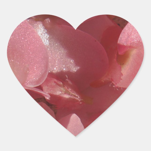Sticker Cœur Géranium rose : presque solide Rose clair (Devant)