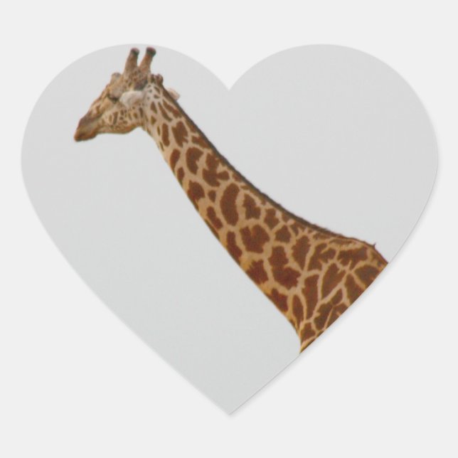 Sticker Cœur Giraffe (Devant)