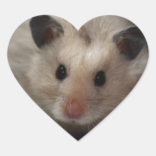 Sticker Cœur Hamster pelucheux mignon
