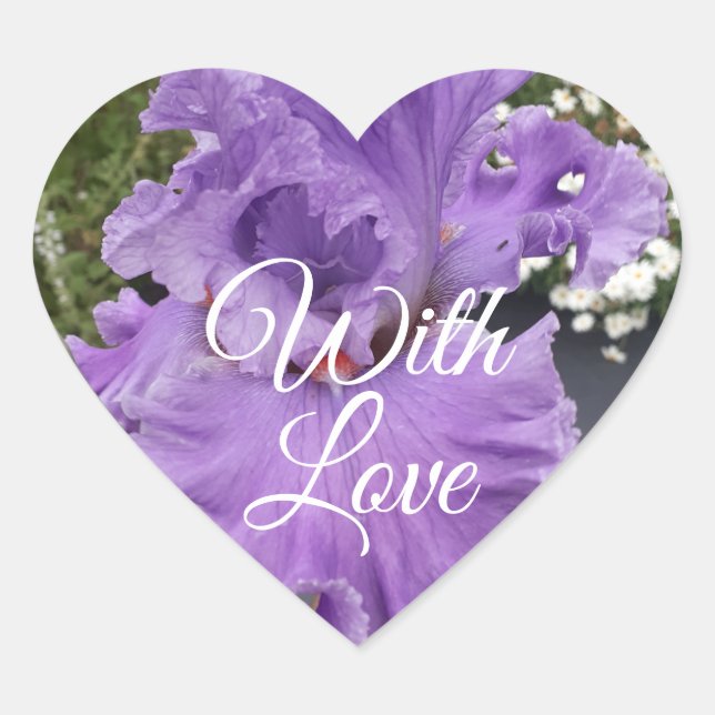 Sticker Cœur Iris Irises Fleur violet Lavande Florale Carré S (Devant)
