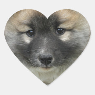 Sticker Cœur Islandhund