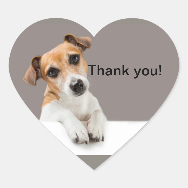 Sticker Cœur Jack Russell chiot sucré adorable mignon coeur bât (Devant)
