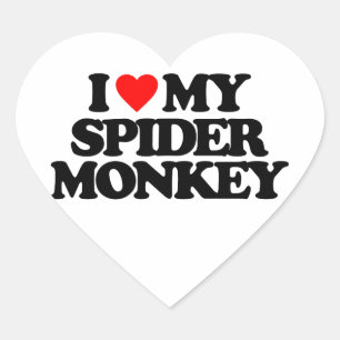 STICKER CŒUR J'AIME MON SPIDER MONKEY