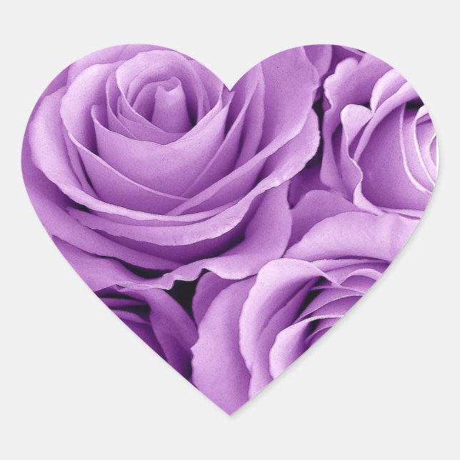 Sticker Cœur Joli Roses pourpres (Devant)