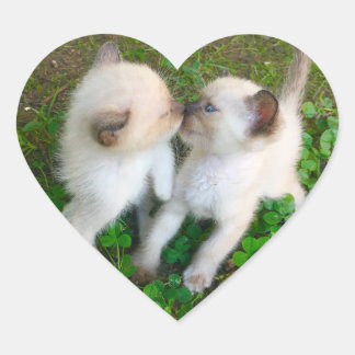 Sticker Cœur kissing kittens
