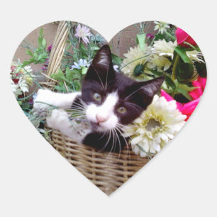 Sticker Cœur Kitten
