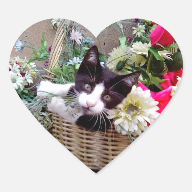 Sticker Cœur Kitten (Devant)