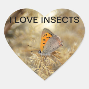 Sticker Cœur Kleiner Feuerfalter