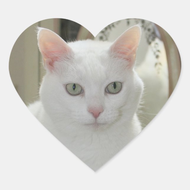 Sticker Cœur La Véritable Jolie Princesse Chat (Devant)
