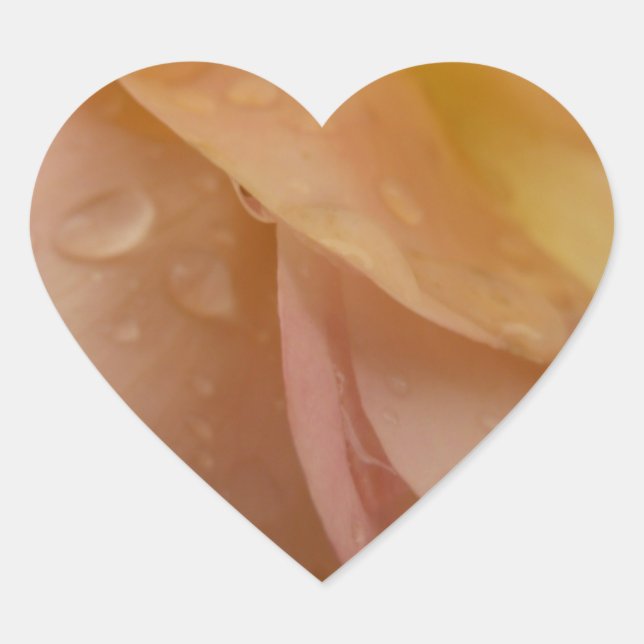 Sticker Cœur Les gouttes de pluie sur les pétales Roses Peach F (Devant)
