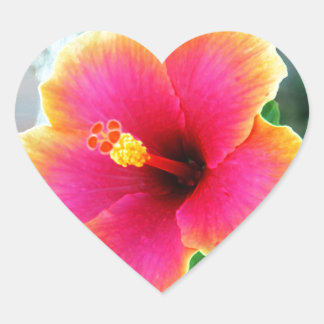 Sticker Cœur Les vignes en fleurs roses Personnalisent