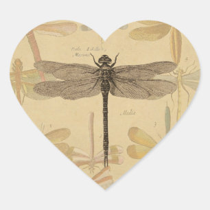 Sticker Cœur Libellule Vintage Antique Classique Nature