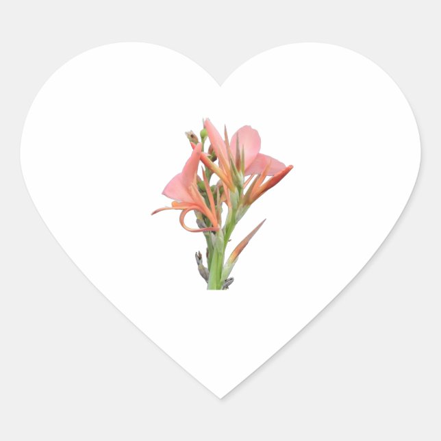 Sticker Cœur Lily (Devant)