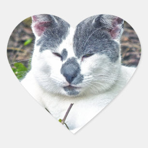 Sticker Cœur Little Mister Pants