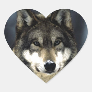 Sticker Cœur Loup