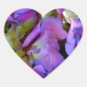 Sticker Cœur Magenta Purple bleu jaune Hydrangeas fleurs