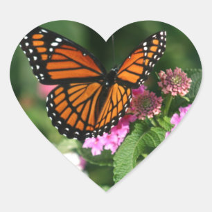 Sticker Cœur Magnifique Monarque Papillon Design