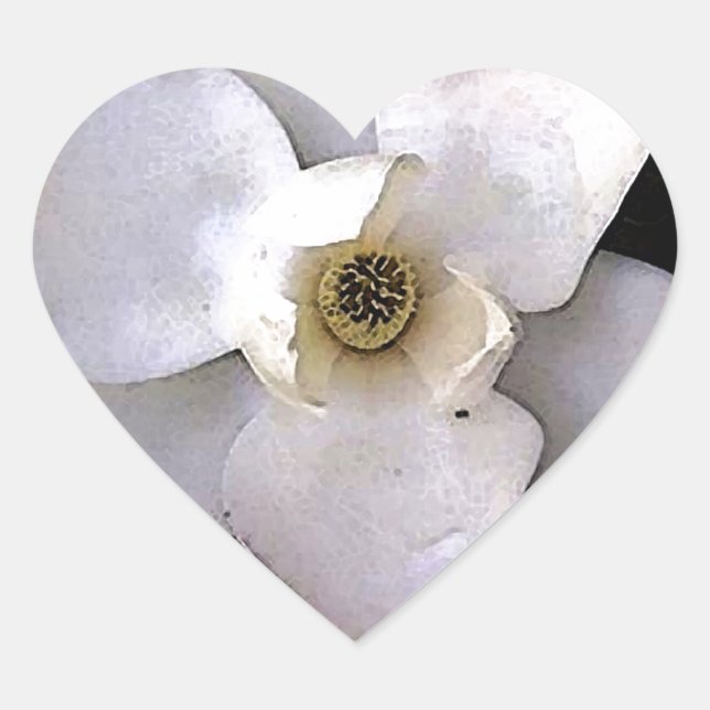 Sticker Cœur Magnolia blanche (Devant)